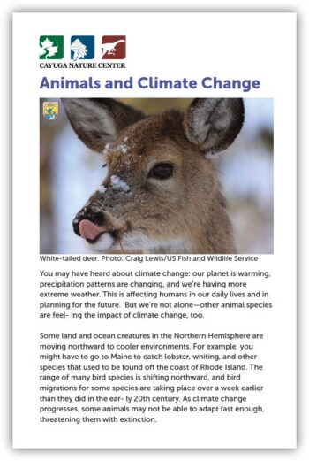 Image of a fact sheet with a photo of a deer on the cover