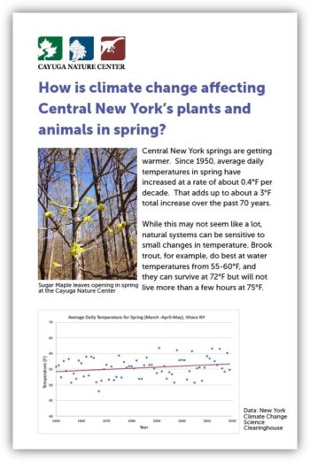 Image of a fact sheet with a photo of a tree leafing out in spring