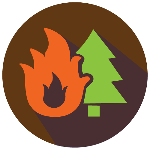 Icon showing a wildfire