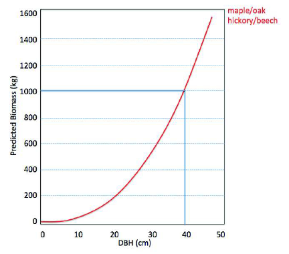 Graph of an exponential curve, relating tree diameter at breast height to tree mass