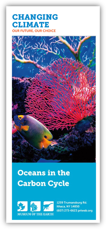 Picture of pamphlet with image of a coral reef on the cover