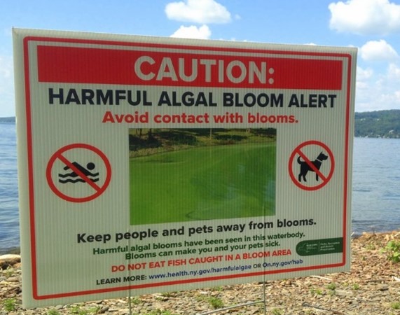 Warning sign on a beach