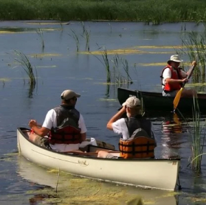photo of people in canoes in a wetland